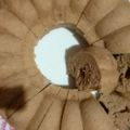 Cooksnap dari Rustya Jafar untuk resep Bolu Kukus Kopi Cappucino Simpel
