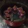 Cooksnap dari July untuk resep Kue Bolu Coklat Kukus - No Mixer + No Telur -
