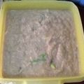 Cooksnap dari Tribuana untuk resep Nugget jamur tiram
