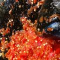 Cooksnap dari Fathonahnc untuk resep Sambal tomat mentah seger