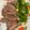 laiijen 的 氣炸牛排 cooksnap
