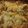 drivn1800's cooksnap of when they made Chicken Lombardy.