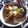 Cooksnap dari Ressy BelLa untuk resep Bikin minyak dan kecap asin mie ayam