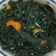 Cooksnap dari Dwi Setiawati untuk resep Sayur bening bayam