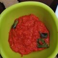 Cooksnap dari Putri Suryani untuk resep Sambal Ayam Pop