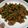 รูป Cooksnap ของ KawaiiKoi Arteenun เมื่อเขาทำ ผัดพริกแกงถั่วหมูสามชั้น