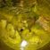 Cooksnap dari Lia Maharani untuk resep Ikan kuah kuning