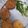 Vedika Tayal 's cooksnap of when they made Brocolli tikki.