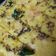 Payal Bhatt's cooksnap of when they made ઢોકળા (Dhokla Recipe In Gujarati).