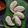 Karan Tripathi (Food Fanatic) का कुकस्नैप जब उन्होंने अंडा और प्याज़ का मोमो (Anda aur pyaz ka momo recipe in Hindi) बनाया था।