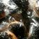 Cooksnap dari Bunda Ardhan untuk resep Donat empuk tanpa telur