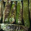Cooksnap dari Mey's Cila untuk resep Otak-Otak Ikan Gabus