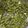 Cooksnap dari Lika ummu YFM untuk resep Cruchy Boiled Edamame