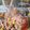 Gail 's cooksnap of when they made Seafood Boil.
