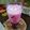 Cooksnap dari Bunda Melvy Sofia untuk resep Dragon Fruit Fresh Milk