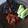 Cooksnap dari Asri Suwasani untuk resep Sambal Seruit