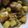 Utsab Bose's cooksnap of when they made আলু পোস্ত(Aloo posto recipe in Bengali).