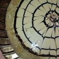 صورة من FAD ___35، شاركها بعد تجربة وصفة تارت اللاتيه