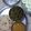 Megha tekwani's cooksnap of when they made Masala bhindi.