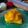 Cooksnap dari Renno Rahma untuk resep SORBET MANGGA
