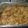 mandi9379's cooksnap of when they made Squash Casserole.