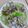 Louis Wang 的 蛤蜊絲瓜 cooksnap