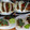 El cooksnap de kerencittasantiago cuando hizo Tacos al pastor.