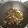 El cooksnap de Mamen cuando hizo Guarnición de variado de setas del bosque con cebolla y pimiento.
