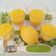 Cooksnap dari Vanda Vemar untuk resep Lemon Curd
