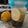 Cooksnap dari erika rhn untuk resep Infused Water Lemon Dates