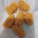 Cooksnap dari Firda Adellia untuk resep Snack MPASI nugget ayam 10m+