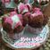 Cooksnap dari Tini Rostiawati untuk resep Bolkus Mekar Zebra