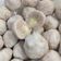 Cooksnap dari tenny untuk resep Bakso ayam (DEBM)