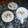 El cooksnap de Cintia Perez cuando hizo Arroz con leche facilísmo y rápido!!.