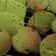 Cooksnap dari Dian Arianty Marthenia untuk resep Bolu Kukus Pandan Wangi
