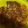 Cooksnap dari Deline untuk resep Bawal goreng sambal rica