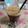 Cooksnap από Απόστολος Αθανασιάδης (LakySatan) στη συνταγή Espresso freddo homemade!