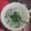 Cooksnap dari Marina untuk resep Bobor Bayam