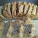 Cooksnap dari Diah untuk resep Banana sponge cake kukus (super moist)