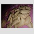 Cooksnap dari Anies Karlita untuk resep Pastel Abon Mini Crispy
