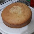 El cooksnap de Ariela Colinecul cuando hizo Bizcochuelo Súper Esponjoso.