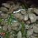 Cooksnap dari SK untuk resep Tumis Bunsis (buncis dan sosis)