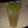 anampm8's cooksnap of when they made Mojito by the pitcher.