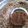 Cooksnap dari dian untuk resep Bolu karamel aka Sarang semut