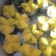 Cooksnap dari Euis Rodiahwati untuk resep Bolu Kukus Mekar
