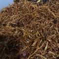 Cooksnap dari Aryanti untuk resep Kentang Mustofa Renyah Tahan Lama