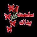 صورة من mj، شاركها بعد تجربة وصفة خليه النحل بطريقتي البسيطه والسهله🏵🏵