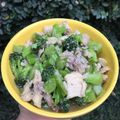 Cooksnap dari Ari Ramadona untuk resep Chicken brokoli oyster sauce(ayam brokoli saus tiram)