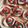 Cooksnap Ell Sakimin semasa beliau membuat Beef Salami + cucumber crostini #phoPbyLiniMohd.