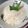 Cooksnap dari meriana untuk resep Ketan Duren Lumer